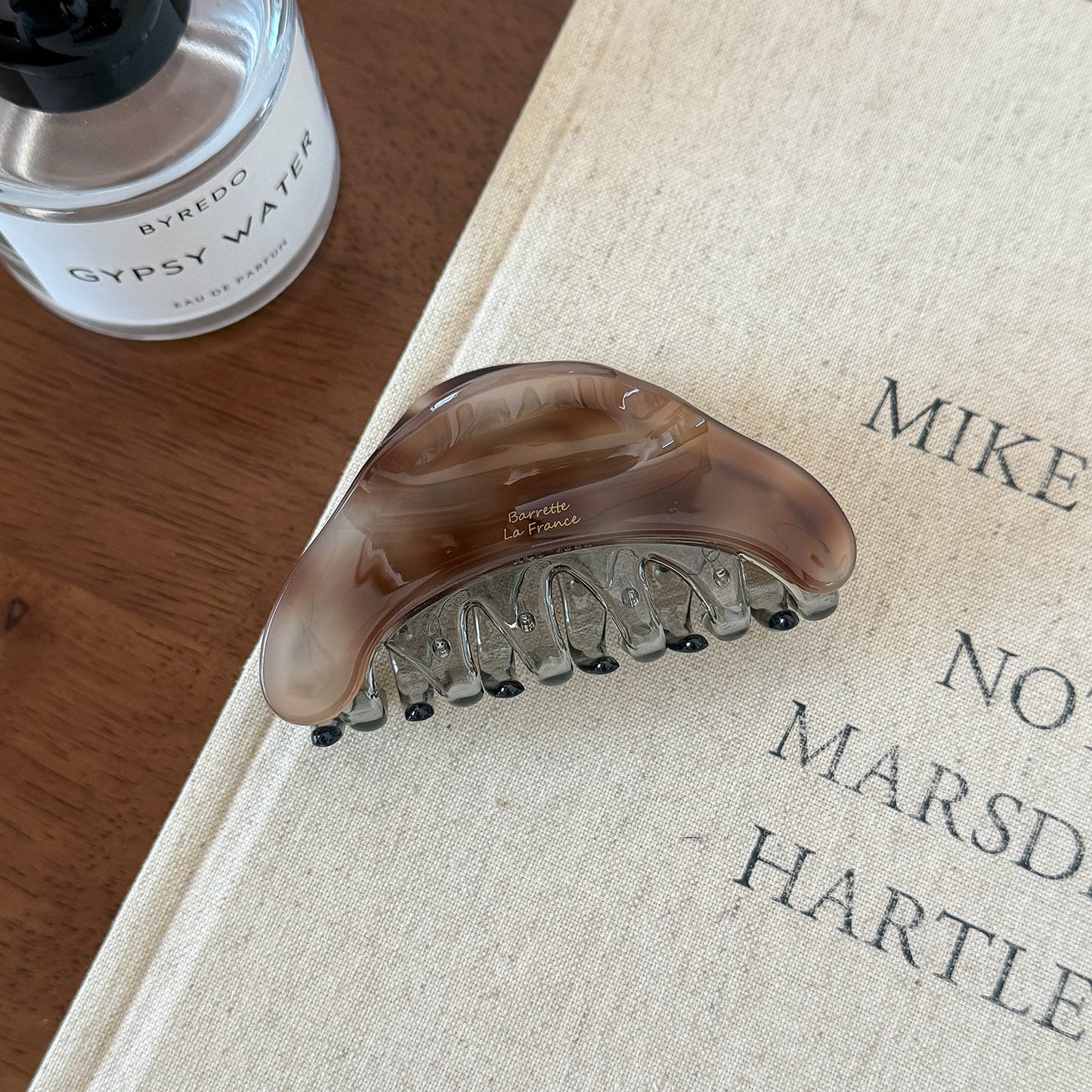 Iridescent Minimal Hair Claw