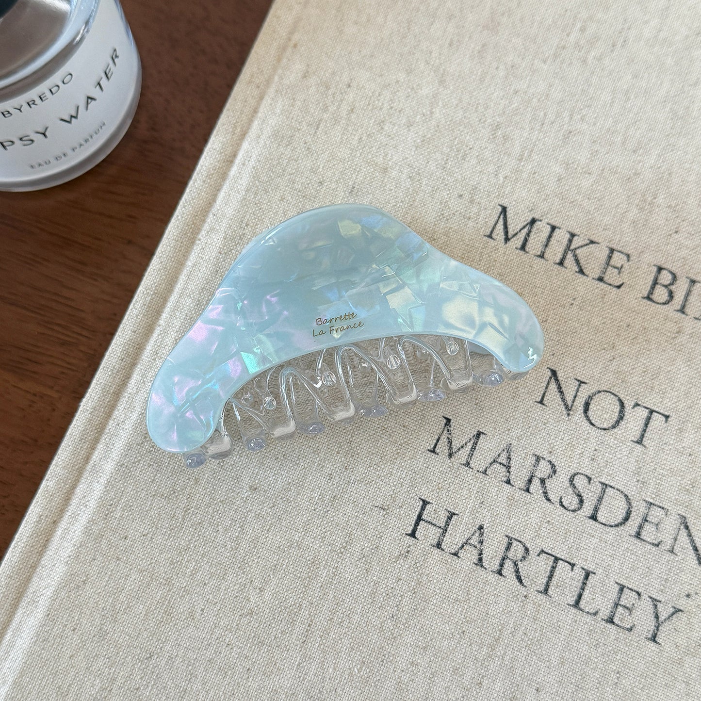 Iridescent Minimal Hair Claw