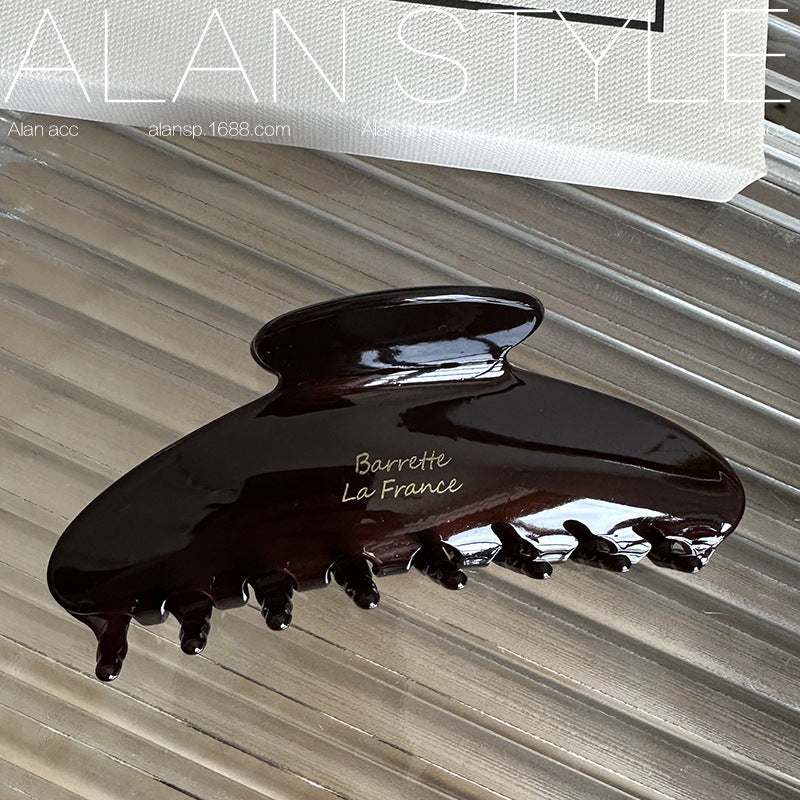 Morandi Color Acetate Hair Clip