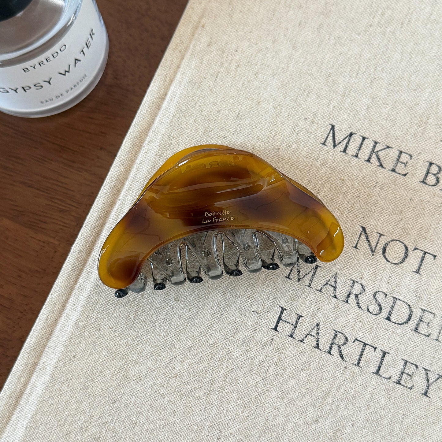 Iridescent Minimal Hair Claw